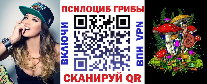 купить наркоту  Петровск-Забайкальский  Псилоцибиновые грибы GOLDEN TEACHER 