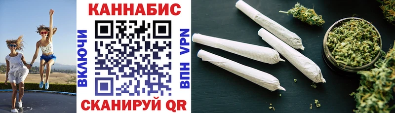 Шишки марихуана планчик  Петровск-Забайкальский 